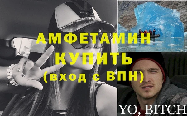 сатива Алексеевка