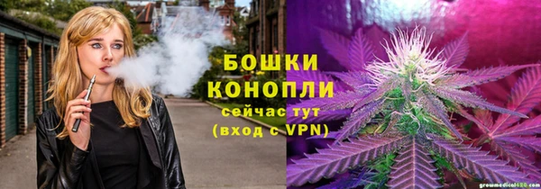 сатива Алексеевка