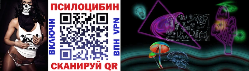 закладки Калачинск Псилоцибиновые грибы Magic Shrooms